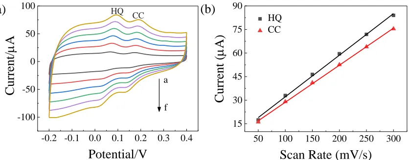 Figure 9(b) shows that the oxidation peak current (Ipa) of HQ and CC has a good linear relationship 