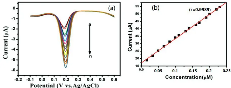 Figure 11. ( a) Differential pulse voltammograms obtained for rutin over the linear range between 1.63 x 10-8 – 2.30 x 10-7 M at poly(safranine/nano NiO)CPE, and (b) The calibration plot of DPV current response against rutin concentration