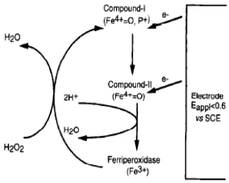 Figure 1. Mechanism reduction of hydrogen peroxidase 
