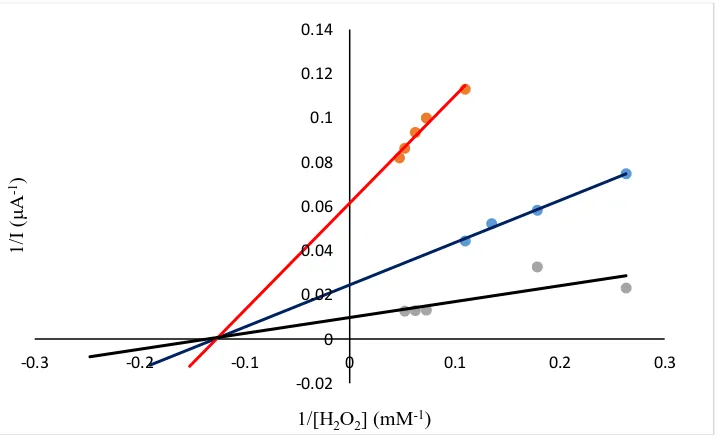 Figure 7.  Lineweaver-Burk diagram with different concentrations of perindopril: (black line) without inhibitor, (blue line) 0.16 mg/ml, (red line) 0.24 mg/ml  
