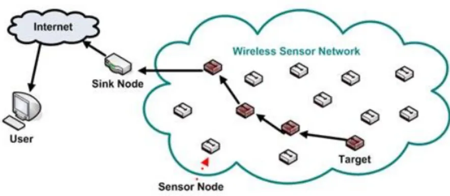 Figure 1.1: Depiction of Wireless Sensor Network the wireless sensor network.