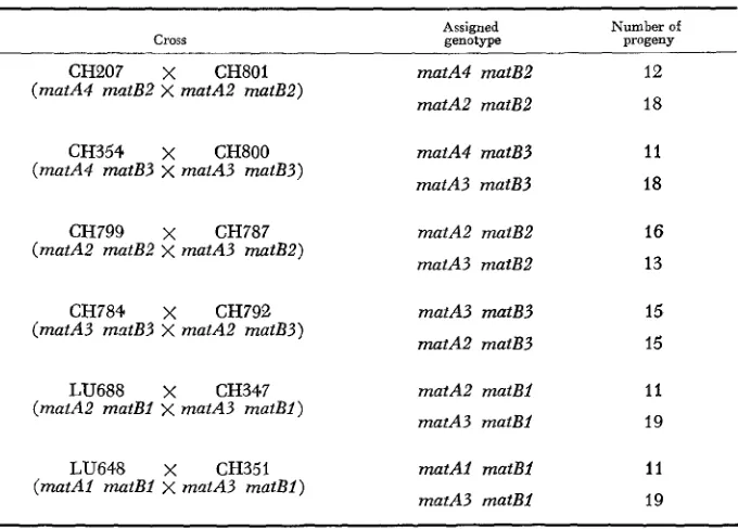 TABLE 6 