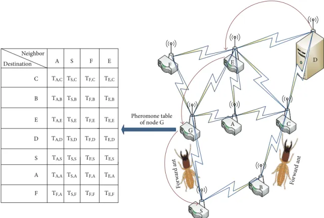 Figure 3: Description of pheromone table of node G.