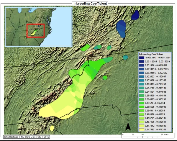 Figure 5.1. Interpolation of inbreeding results across the eastern hemlock range shows high levels of inbreeding across the range with added emphasis given to the few areas with comparatively low levels