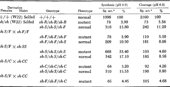 TABLE 2 Sucrose synthetase aciivity in 34-day-old endosperms of specified genotypes 