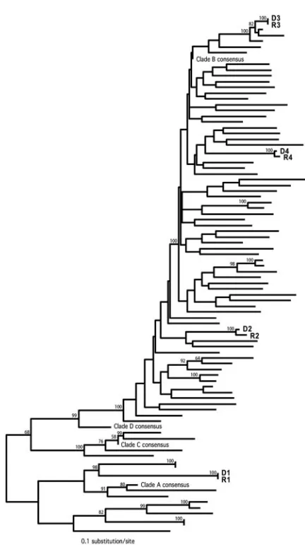 FIG. 2. Phylogenetic conﬁrmation of the four HIV-1 transmitterpairs. A maximum-likelihood tree was constructed on the basis of
