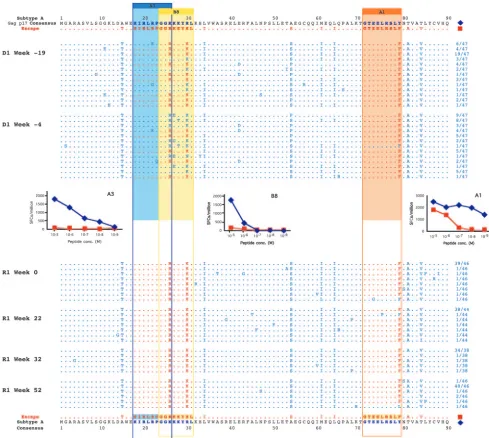 FIG. 4. Transmission of multiepitope escape virus in donor-recipient pair 1. HIV-1 gag p17boxes represent restricting HLA class I alleles in the donor, who is HLA-A*0101 (orange), HLA-A*0301 (blue), and HLA-B*0801 (yellow)