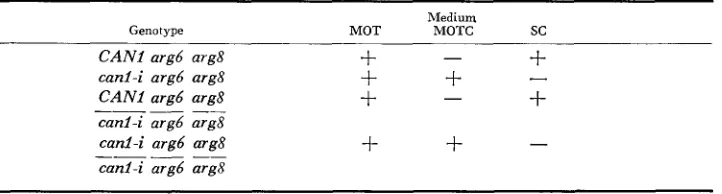 TABLE 2 