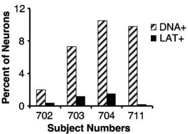 FIG. 5. More neurons contain HSV-1 DNA than are found tocontain LAT. DNA extracted from LCM caps bearing single neurons