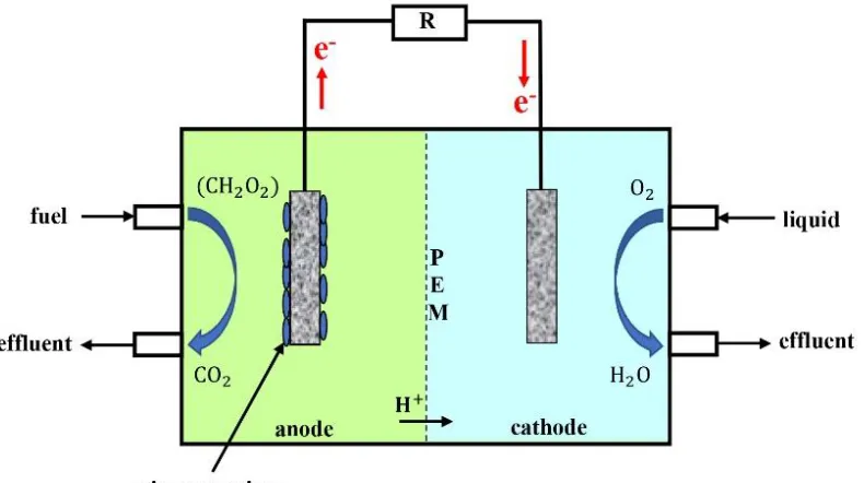 Figure 1.  Schematic diagram of an MFC system 