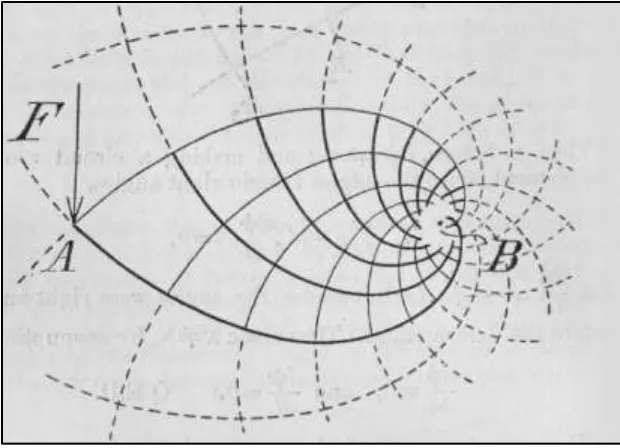 Figure 3.1 Michell Truss Layout 