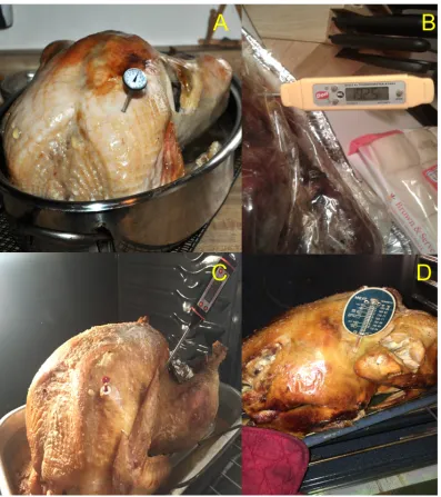 Figure 2-3. Representative pictures provided by data collectors.  