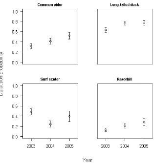 Figure 3.  Year-specific detection probability intercept estimates for common eider, long-tailed duck,  surf scoter, and razorbill in winter 2003-2004, winter 2004-2005, and winter 2005-2006