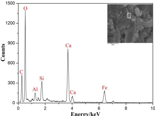 Figure 9. SEM micrographs of casing steel after different immersion corrosion times: (a) 10 days and (b) 60 days