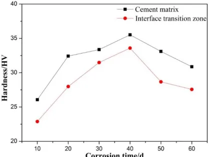 Figure 5.  Variation of microhardness of cement stone with time. 