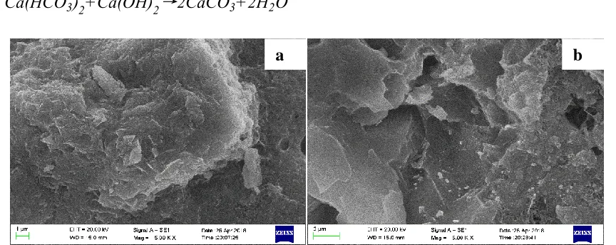 Figure 6.  Change in the compressive strength of the cement stone with time. 