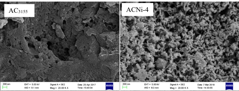 Figure 2.  The surface morphology of AC3155 and ACNi-4 