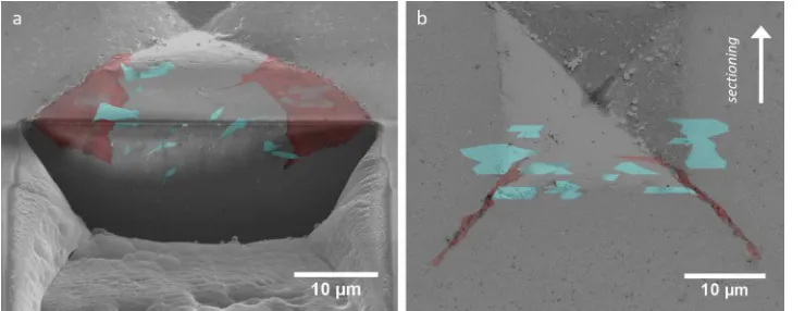 Fig. 7. Side view schematics of the sub-surfaceIMOD crack maps for the SN-2 (a) 1 kg indentation,and (b) 0.5 kg indentation highlighting the locationof the diﬀerent crack morphologies (arrowed).Lateral and radial cracks are coloured blue and redrespectivel