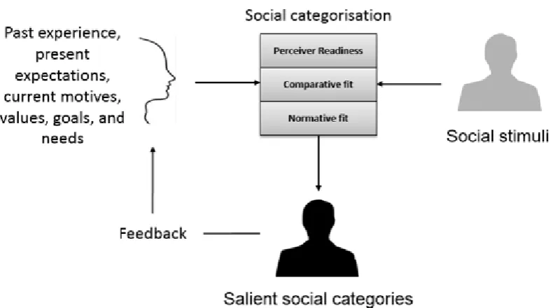 Figure 5.4. The category activation and application approach to social perception 
