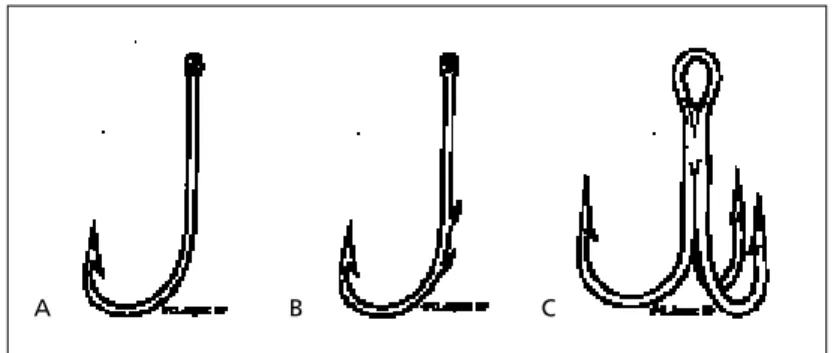 FIGURE 1. Types of fishhooks. (A) Simple-single barbed fishhook. (B) Multiple-barbed fishhook
