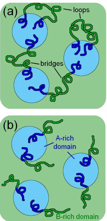 Figure 1.1. Schematics indicating the molecular conformation of block copolymer chains in an ABA triblock copolymer (a) and an AB diblock copolymer (b)