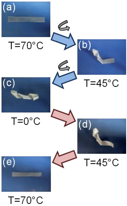 Figure 1.4. The triple shape memory behavior achieved by 56 using a poly[styrene-b-(ethylene-co-propylene)-b-styrene] (SEBS) TPE in combination with two waxes (Tm,1 = 32°C, Tm,2 ≈ 61°C)