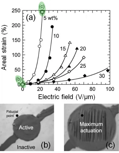 Figure 1.5. Areal actuation response of SEBS/mineral oil TPEGs as a function of applied electric field for various gel compositions (a) including points that correspond to the images in (b) and (c)