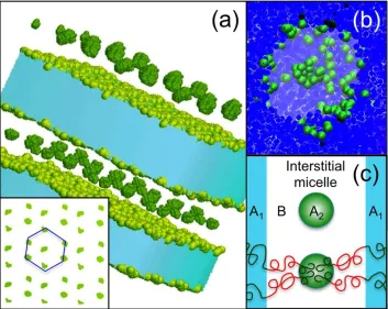 Figure 3.1. Snapshots of MC simulations of molecularly asymmetric A1BA2 triblock copolymers in the sSS regime revealing the existence of interstitial micelles between lamellae [(a) edge view] and perforated lamellae [(b) parallel view through the perforati