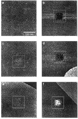 Figure 1.1.  300 nm x 300 nm scanned image via STM of an n-octadecyl mercaptan SAM with a centralized 50 nm x 50 nm patterned region fabricated under varying relative humidity from ~75% for images (a), (b), (d), and (f) and ~6% for (c) and (e)