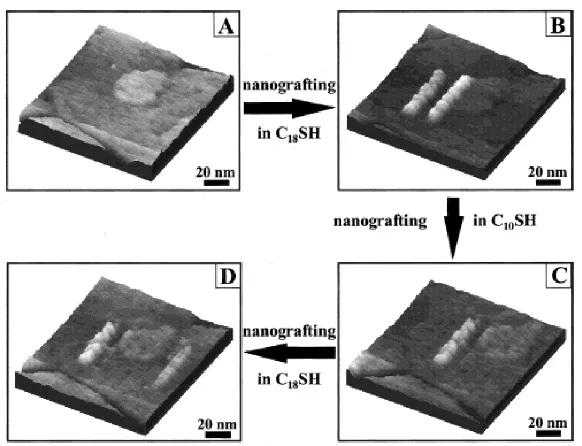 Figure 1.5. (A) An AFM image of C10S SAM prior to fabrication. (B) Patterning of two 10 nm x 50 nm C18S- lines with 20 nm spacing