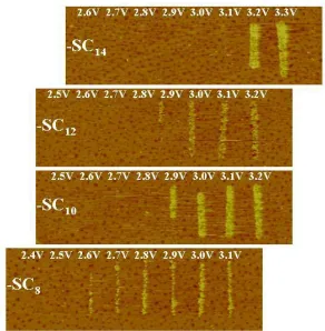 Figure 2.2.  A series of STM images in which replacement lithography was attempted at incrementally higher biases
