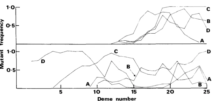 FIGURE 2.-Frequency 2000 gen.; N = of mutant us. deme number for two replicates of a neutral allele
