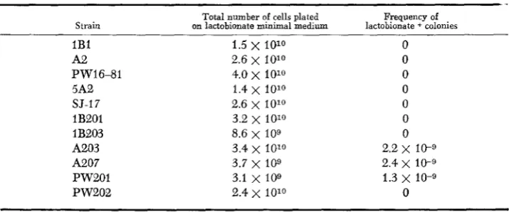 TABLE 4 Frequency of mutation to lactobionate utilization 