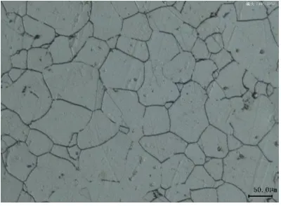Figure 1. Microstructure of incoloy825 alloy 