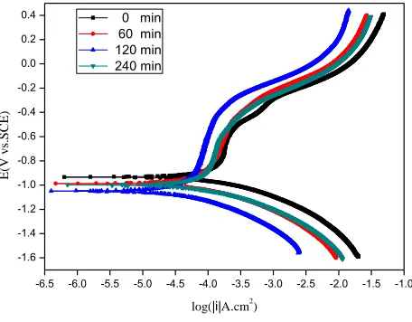 Figure 3.  Polarization curves of EH47 steel . The samples were obtained after the wear test under different sliding times of 0 min, 60 min, 120 min, and 240 min with 100 N loads, a 200 rpm sliding rate and immersion in 3.5% NaCl solution for 14 days