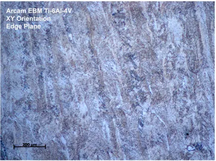 Figure 3.8:  Optical micrograph of an Arcam EBM fabricated Ti-6Al-4V alloy showing the columnar grains normal to the planar solid-liquid growth interface