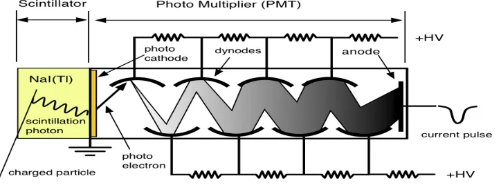 Figure 2.1 A basic NaI detector schematic. [14]