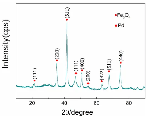 Figure 2.  SEM images of Fe3O4@PPy@Pd catalyst, (a) 10,000×, (b) 50,000×. 