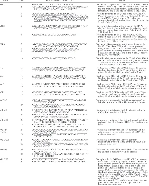 TABLE 1. Primers used for plasmid construction