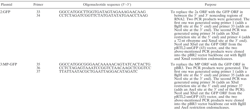 FIG. 1. Schematic representation of BMV cDNA constructs usedto clone in the T-DNA region of the binary vector pCB301