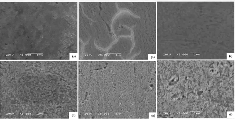 Figure 1. SEM images of different samples. a) not-treated steel, b) PA coated, c) PA-SA-1, d) PA-SA-2, e) PA-SA-3, f) PA-SA-4