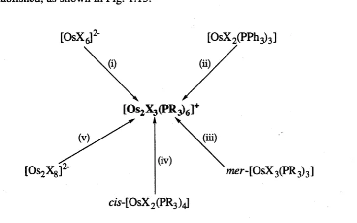 Figure 1.13 Preparative Routes to [Os2(p~X)3(PR3)^]X Complexes: (i) Boiling aqueous EtOH; X = Cl, PR3 = PMe2Ph, PMePh2, PEt2Ph, PEtPh2.] (ii) Boiling EtOH; X = Cl, PR3 = PEt3, PEt2Ph, (PR3)3 = triphos.75 (iii) Treatment with Zn/Hg under Ar at room temperature in thf; X = Cl, PR3 = PMe2Ph, PEt2Ph, PEtPh2;87 X = Cl, PR3 = PMe2Ph, via electrochemical reduction in CH2Cl2;88Boiling 2-MeOEtOH; X = Br, PR3 = PMe2Ph.75 (iv) Refluxing Bu'OH; X = Cl,PR3zPMe2Ph.88(v) Boiling EtOH; X = Cl, Br, PR3 = PMePh2, PEt3 89
