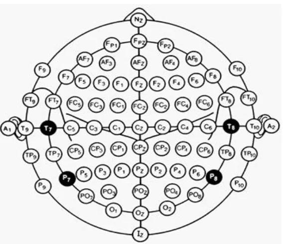 Figure 1.2.  Distribution of Electrodes (adapted from Practical Guide for Clinical Neurophysiologic Testing: EEG, Thoru Yamada, Elizabeth Meng, Lippincott Williams & Wilkins, 2009) 
