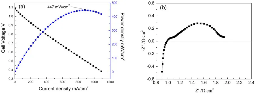 Fig. 2(a) shows the I-V-P curve of the cell with humidified H2at 800 °C. The value of open circuit voltage is 1.09 V at 800 °C, which is very close to the theoretical value at this temperature, indicating that the electrolyte is well densification