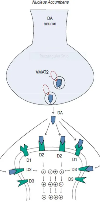 Fig no: 13