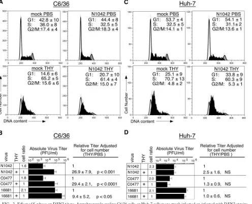 FIG. 2. Effect of S-phase on DEN2 titers. Asynchronously cycling C6/36 cells or Huh-7 cells were mock infected or infected with DEN2 strainsN1042, C0477, or 16681 for 2 h, washed, and then cultured in growth medium containing either PBS or 2 mM THY for an additional 38 h (C6/36)