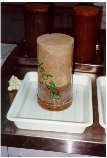 Figure 3.14: Capillary Rise Test 