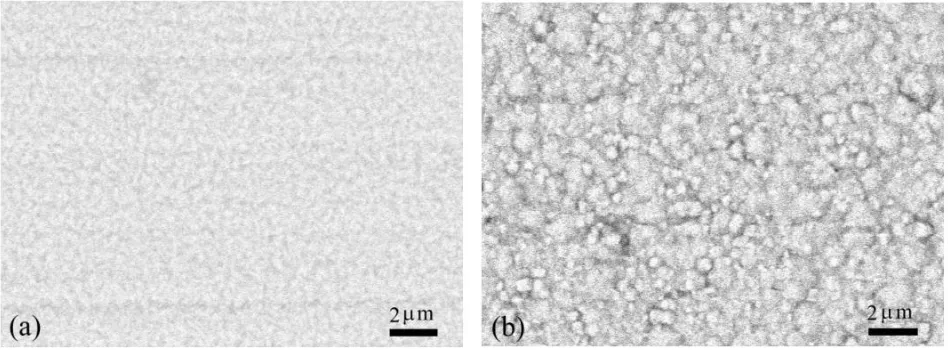 Figure 4. SEM images of Co-Ni films electrodeposited in solution A at 1.1 MHz. The Co-Ni films are (a) 2.5 m and (b) 5.0 m thick