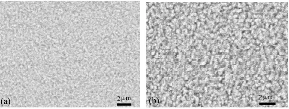 Figure 7.  SEM images of the Co-Ni films electrodeposited in solution B at 0.6 MHz. The Co-Ni films are (a)  2.8 m and (b) 5.5 m thick