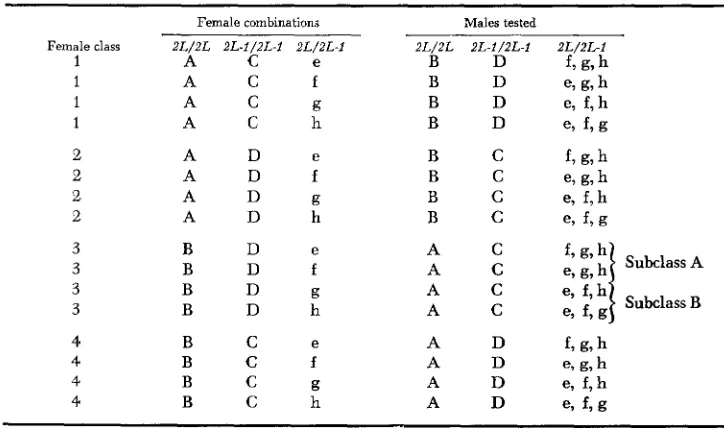 TABLE 1 Possible homo- and heterokuryotype female combinations 